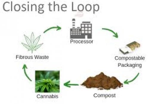 HOW TERPENES CAN BECOME PLASTICS & ROCKET FUEL