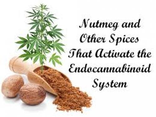 Nutmeg and Other Spices That Activate the Endocannabinoid System