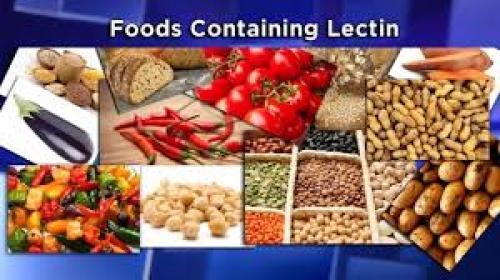 Dr. Paul Mason - 'How lectins impact your health - from obesity to autoimmune disease'