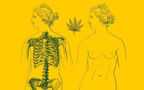 Women and weed: A history of cannabis and women’s health