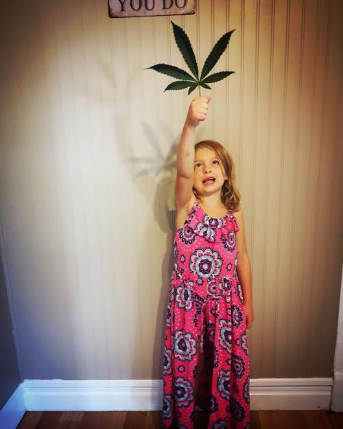 Cheyennes' Family said NO to chemo and YES to CANNABIS