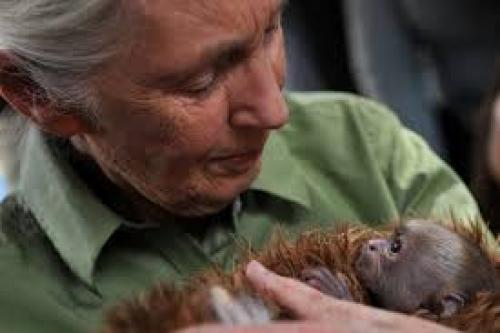 A Powerful Message from the Exquisite Jane Goodall