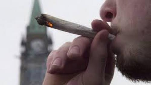 Pot industry lobbies Ottawa for economic aid amid virus fallout