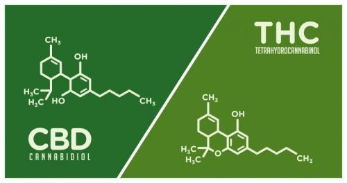 CBD & Cannabis Dosage Guide