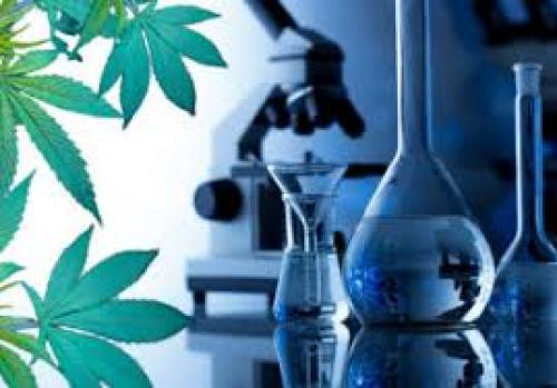 3 Popular Cannabis Extraction Technologies by JESSICA MCKEIL, Cannabis Tech