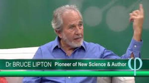 Dr. Bruce Lipton - What is Epigenetics?